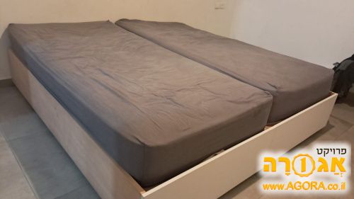 בסיסי מיטה