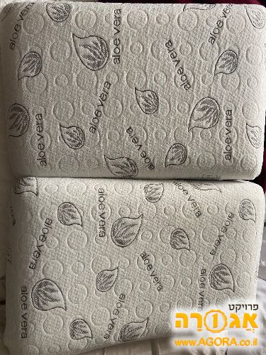 זוג כריות לטקס