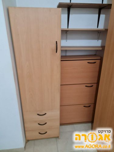 ארונית