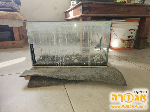 אקווריום 40 ס"מ