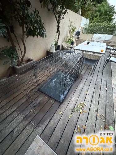 כלוב אילוף לכלבים