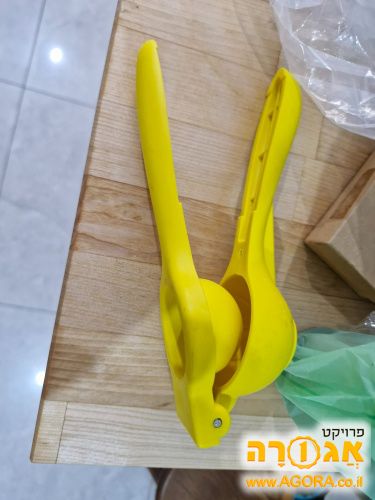 סוחט לימון