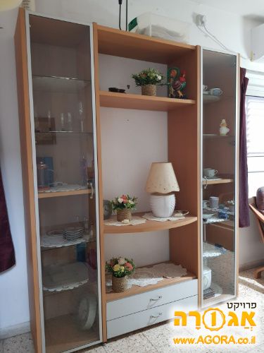 ארונית