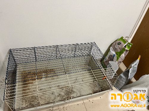 כלוב לארנב