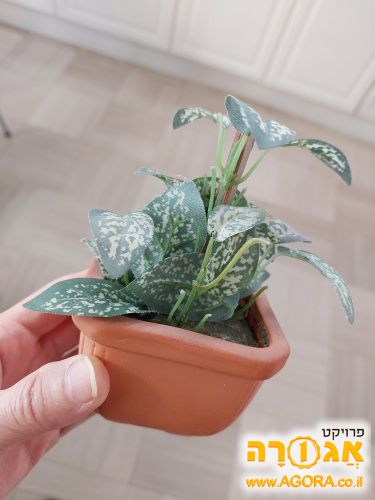 עציץ דמה קטן