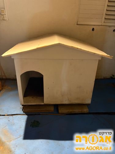 מלונה לכלב