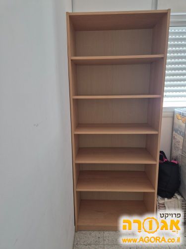 כוננית