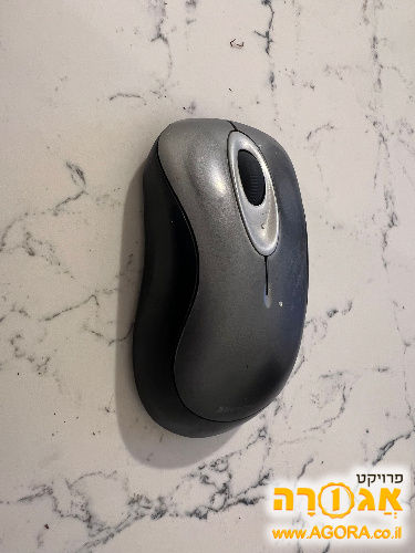 עכבר