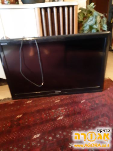 טלויזיה