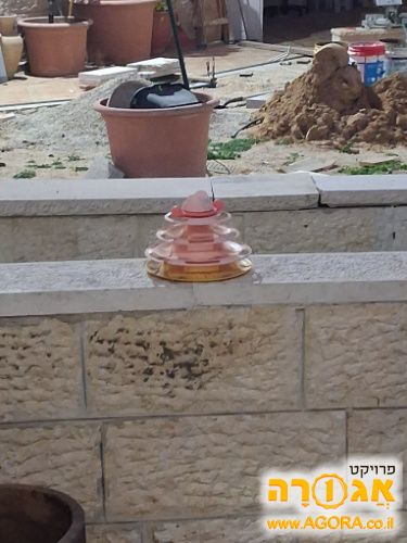 משחק לחתול