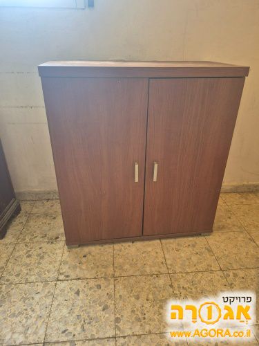 ארונית