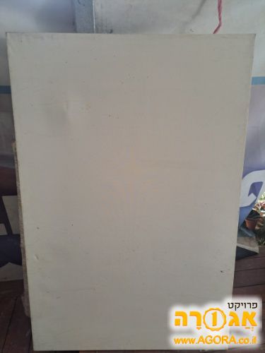 קנווסים גדולים לציור