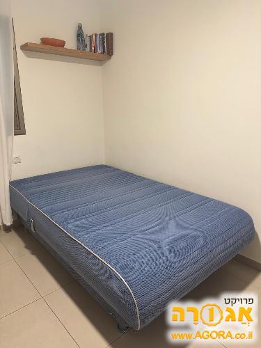 מיטה וחצי של ד"ר גב