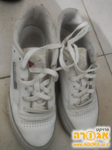נעלי ספורט