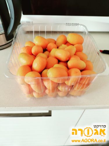 תפוז סיני