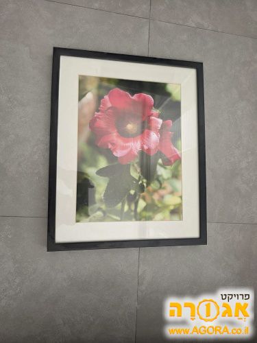 מסגרת תמונה גדולה