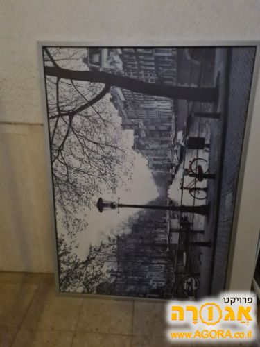 תמונה גדולה