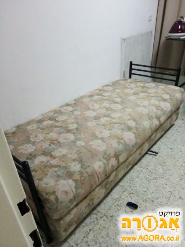 מיטה