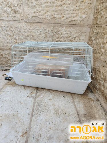 כלוב לאוגרים/ארנבים