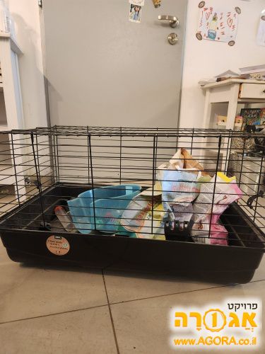 כלוב לארנב / אןגר