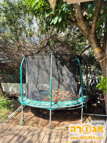 טרמפולינה