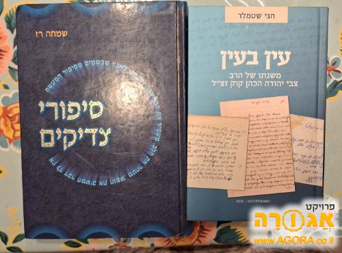 סיפורי צדיקים של שמחה רז,ועין בעין