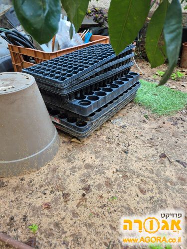 מגשי הנבטה