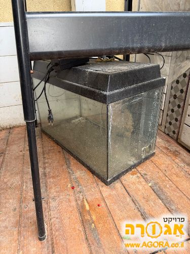 אקווריום