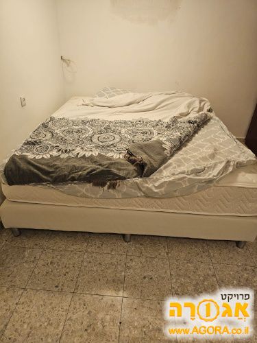 מיטה