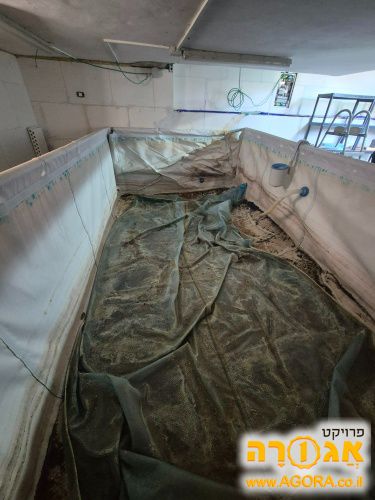 בריכה ענקית