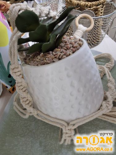 עציץ מקרמה