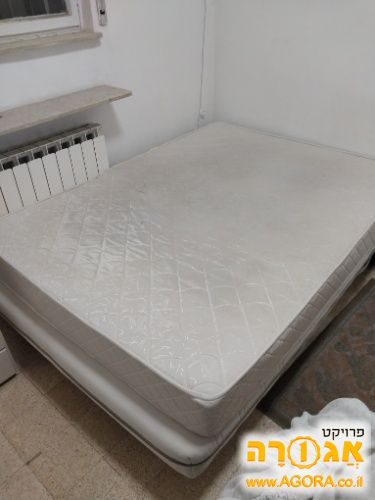 מיטה