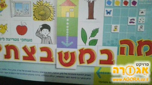 משחק מי במשבצת