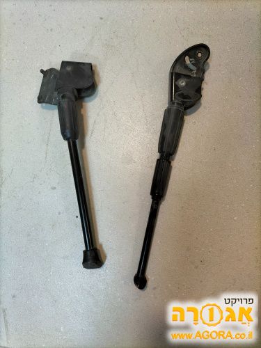 רגליות לאןפניים