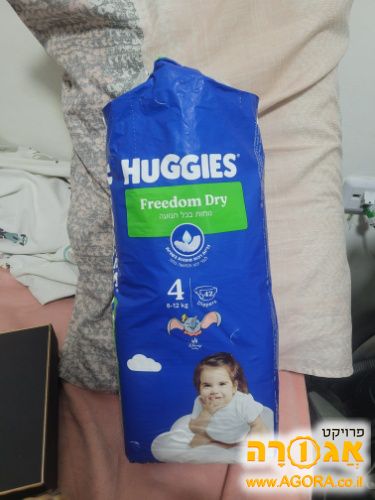 טיטולי אגיס