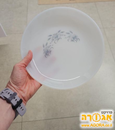 צלחת זכוכית עם עיטור עדין