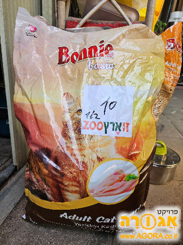 אוכל יבש לחתולים