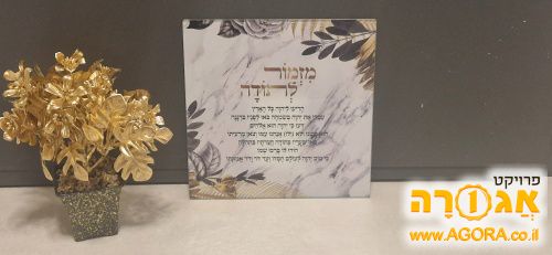 תמונה של מזמור לתודה ועציץ
