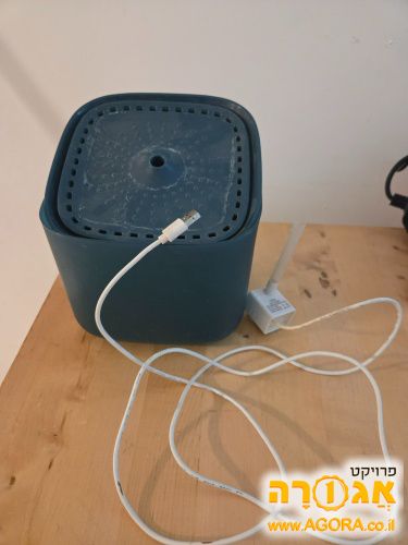 מזרקת מים לחתול