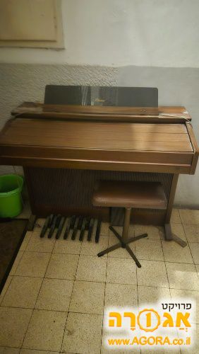 אורגן