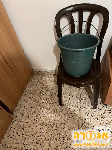 דלי