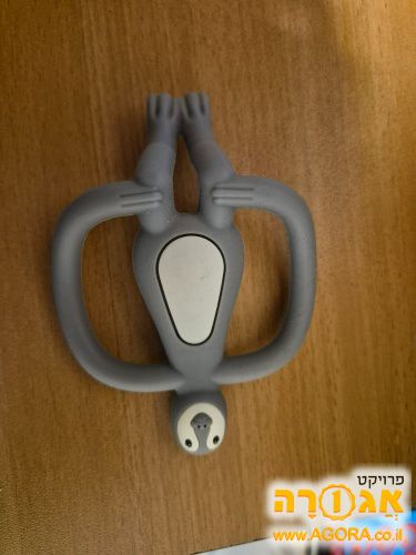 נשכן
