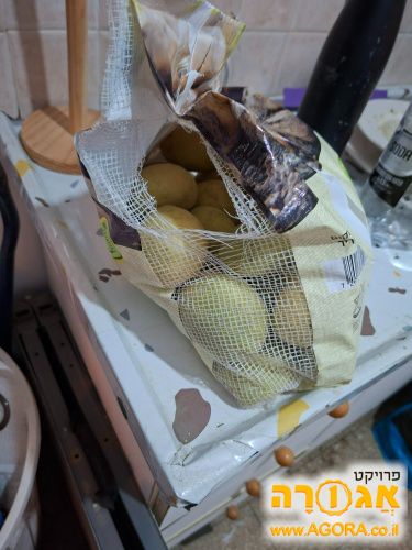 שק תפוחי אדמה ירוקים לשתילה