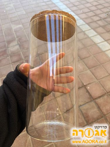 צנצנת