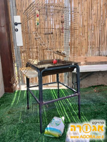 כלוב לתוכי