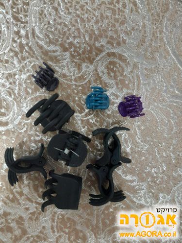 קליפסים