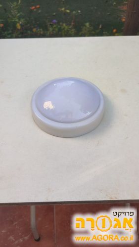 נורת שולחן