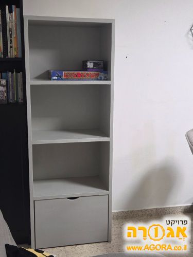 כוננית אפורה