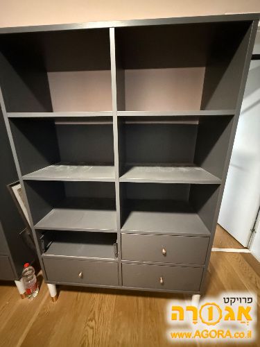 כוננית אפורה