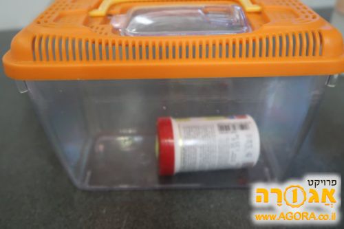 אקוריום
